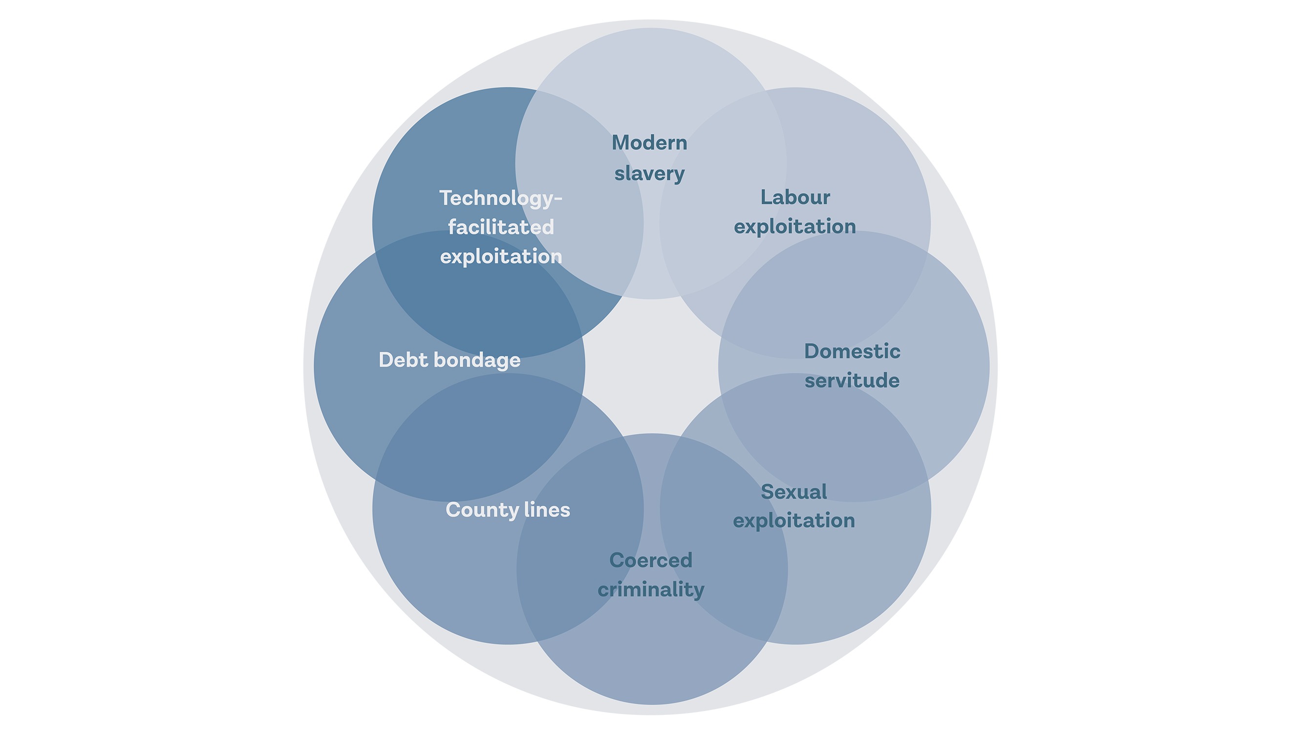 Diagram illustrating different ways in which adult exploitation can manifest and overlap