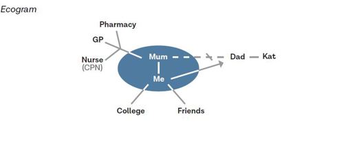 case study research in practice pdf